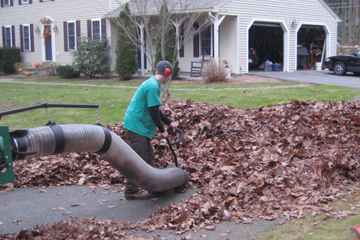 Fall leaf, stick, and debris cleanup and removal. Spring & Fall clean up.